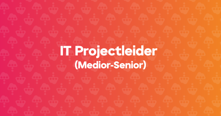IT Projectleider (Medior-Senior)